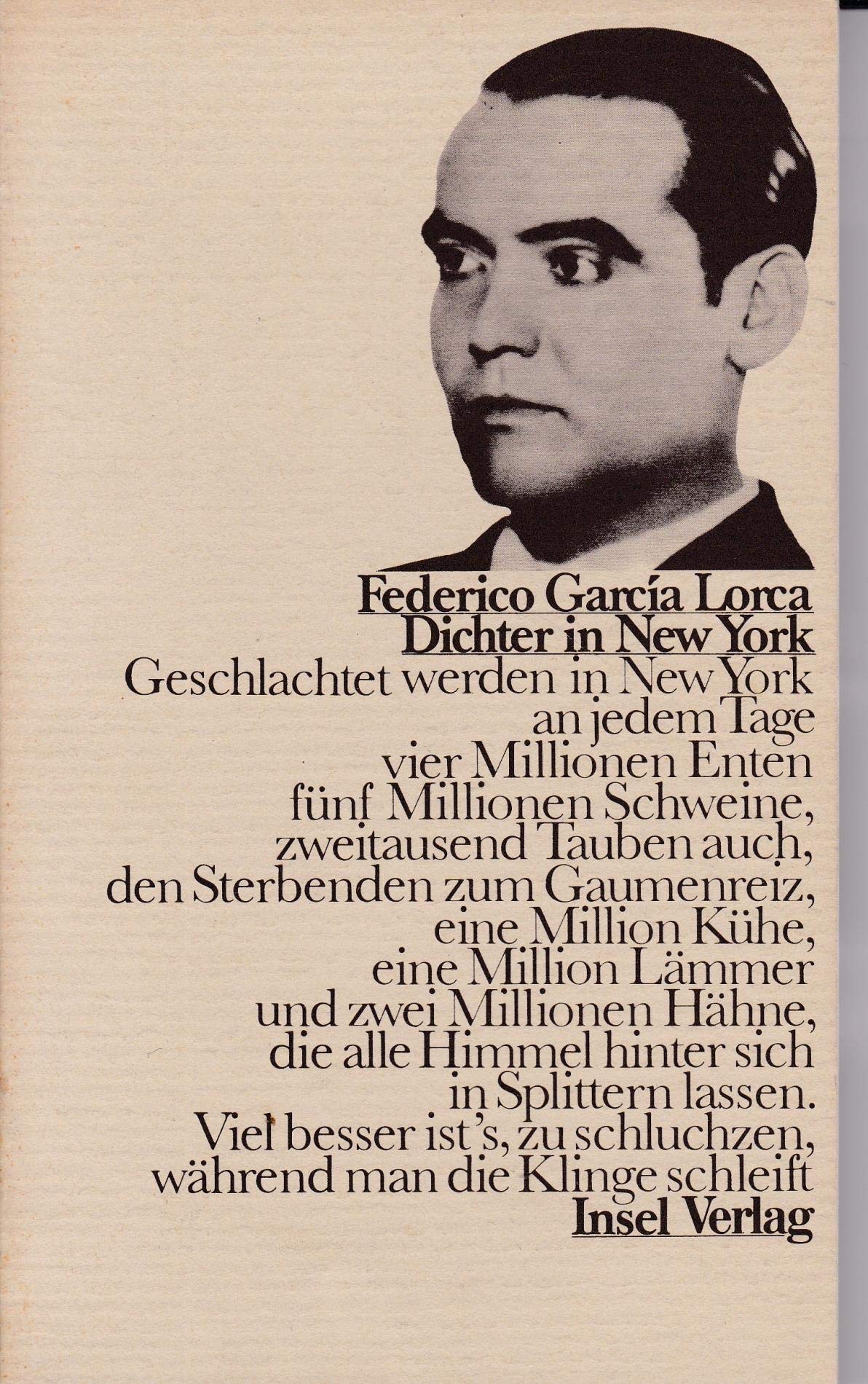 Poeta en Nueva York - Dichter in New York Books