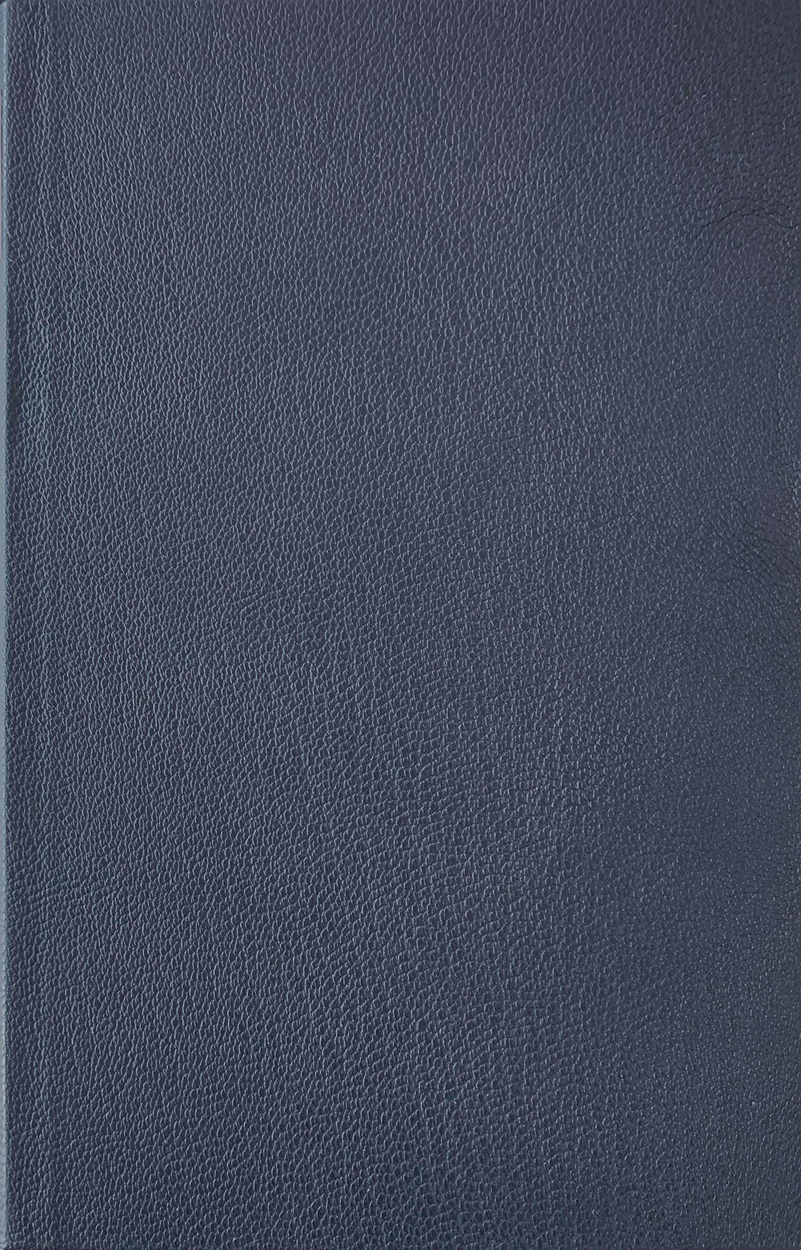 Werke in zeitlicher Folge, Ld, Frankfurter Ausgabe, in 12 Bdn., Bd.4, 1886: Vierter Band: 1886. Der Sohn der Magd I–IV. Die Kameraden (mit Variationen ... in zeitlicher Folge. Frankfurter Ausgabe) Classics