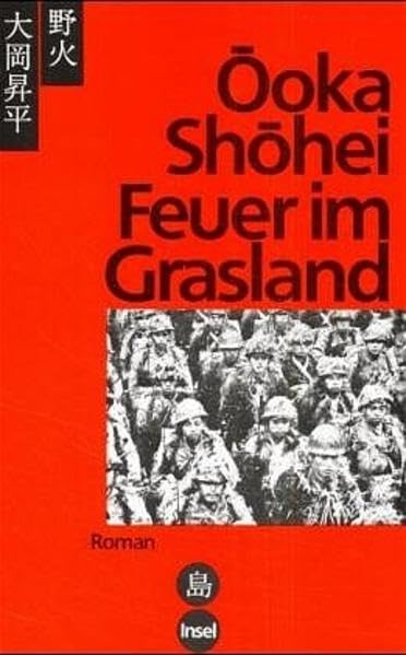 Feuer im Grasland: Roman Contemporary literature