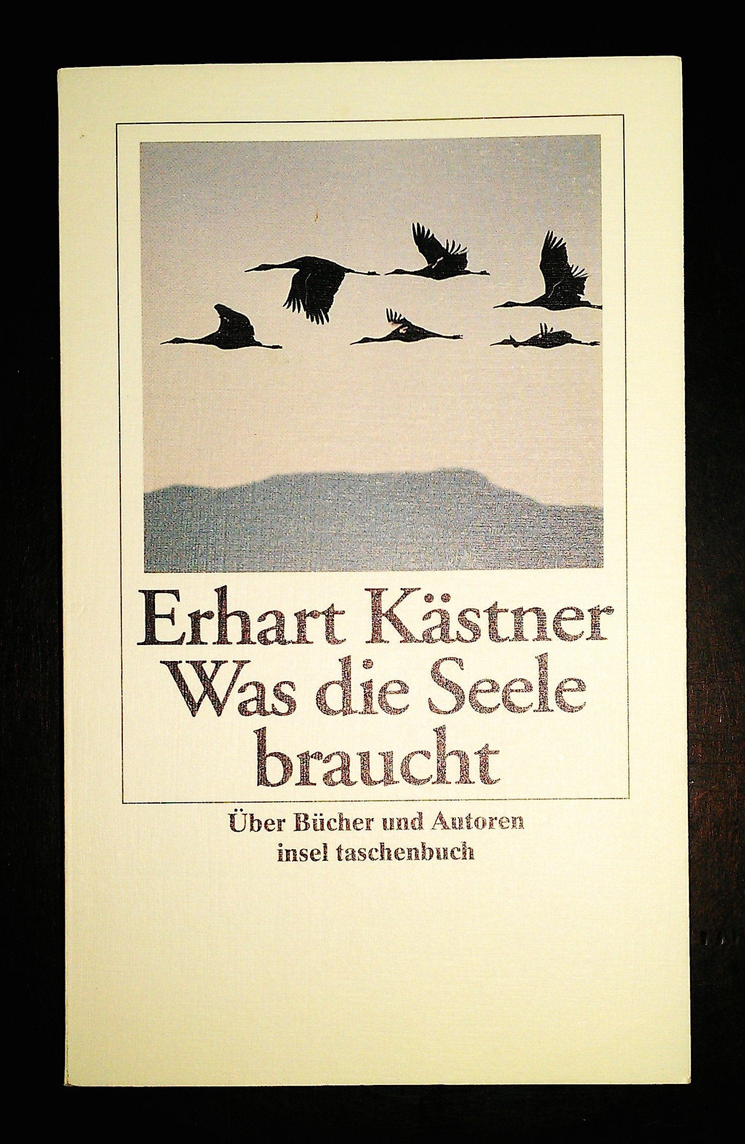 Was die Seele braucht: Erhart Kästner über Bücher und Autoren Contemporary literature
