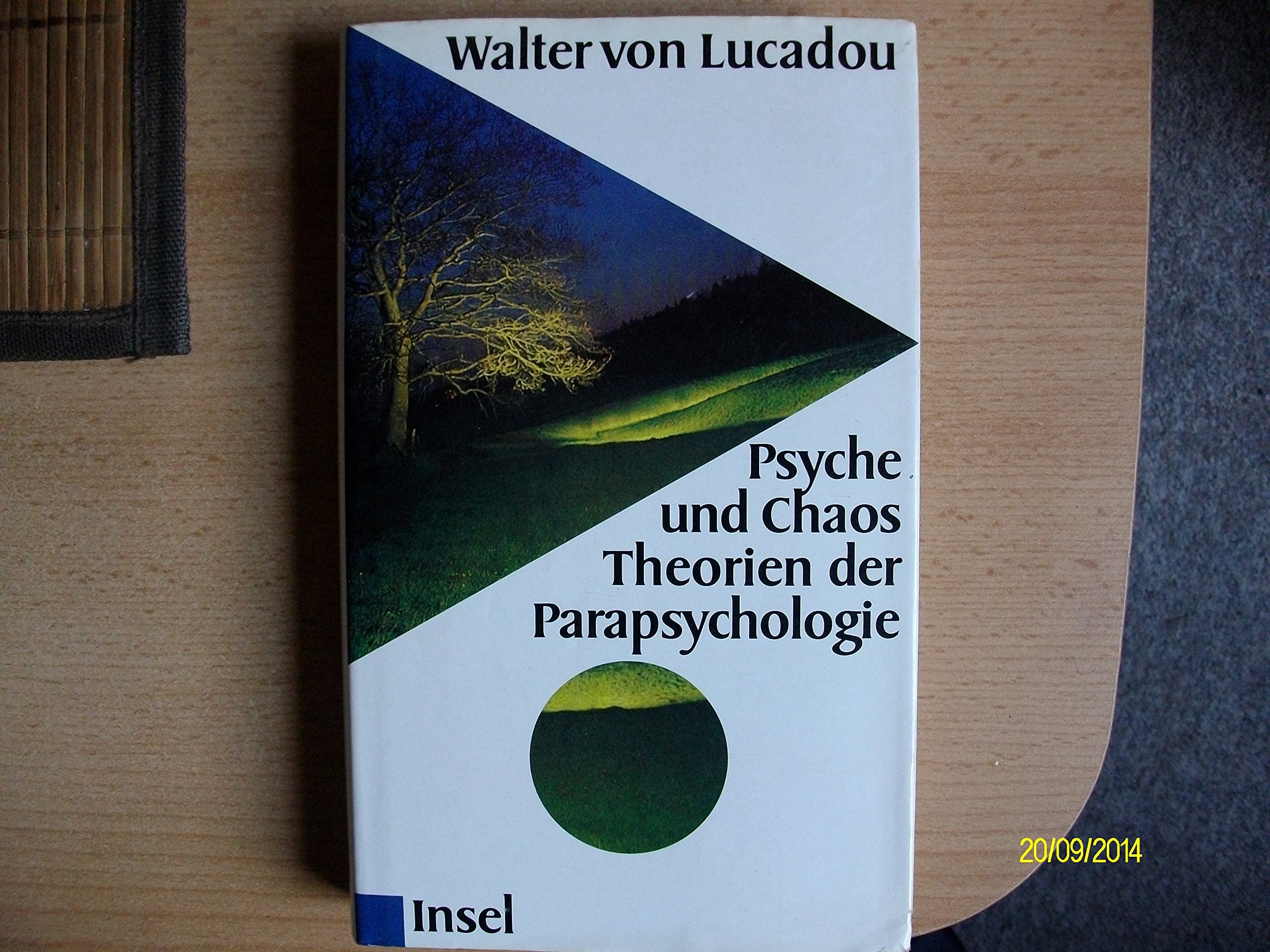 Psyche und Chaos: Theorien der Parapsychologie Books
