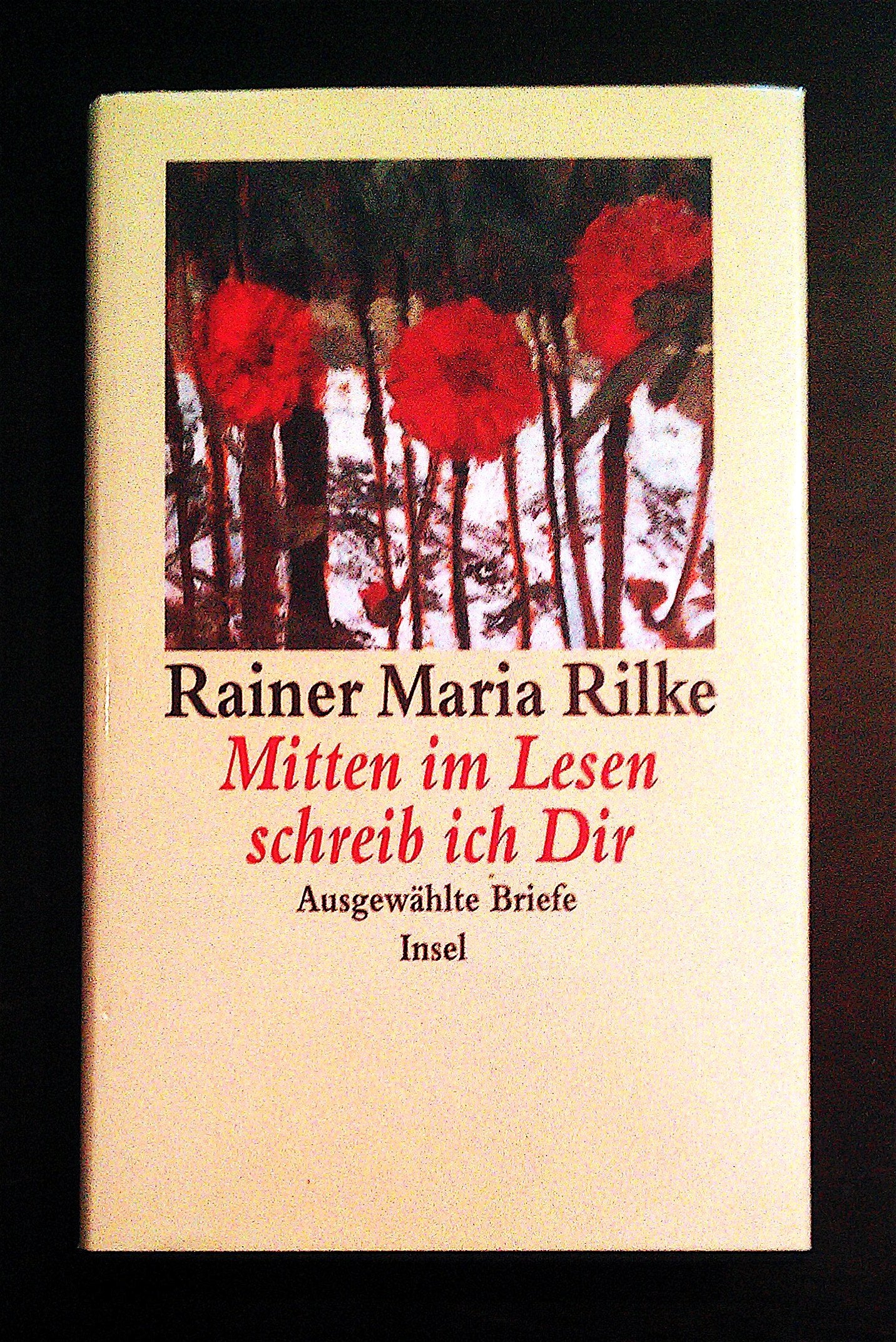 Mitten im Lesen schreib ich Dir: Ausgewählte Briefe. Herausgegeben von Rätus Luck Essays & Short Stories