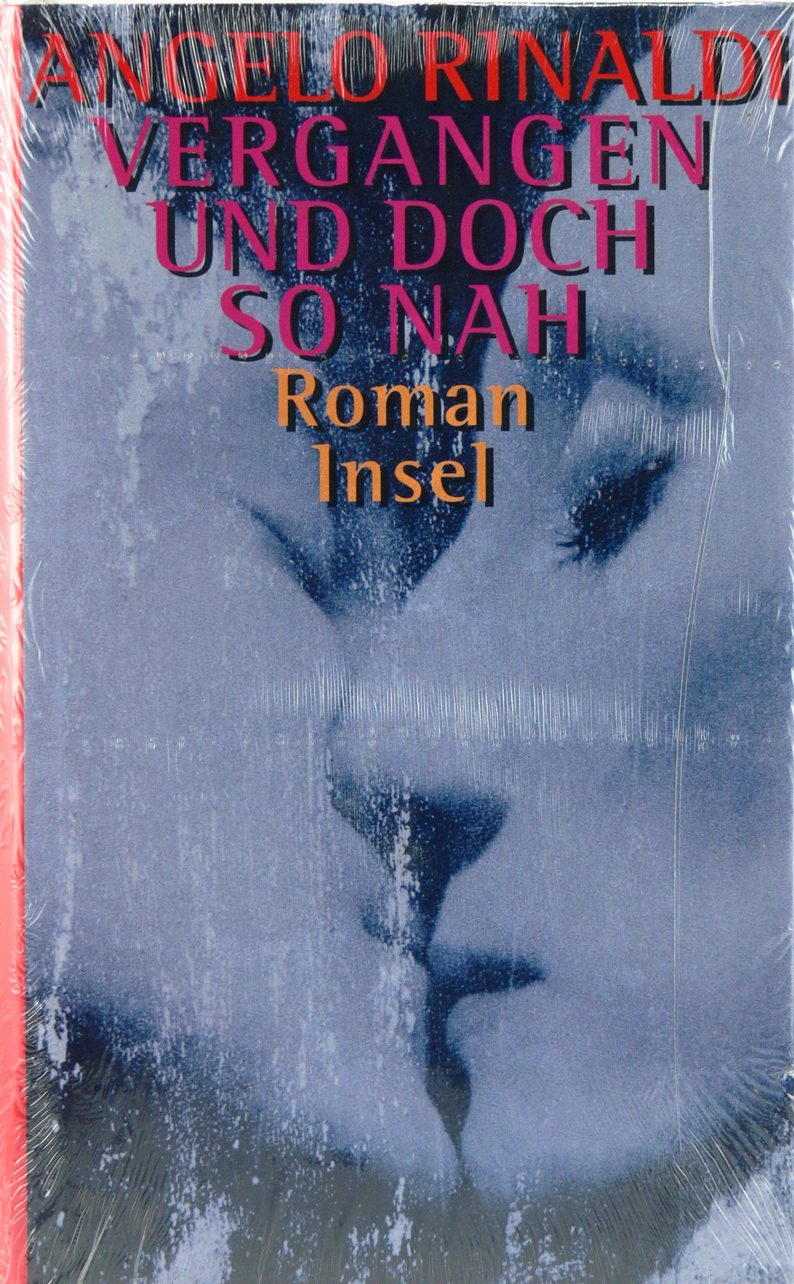 Vergangen und doch so nah: Roman Contemporary literature