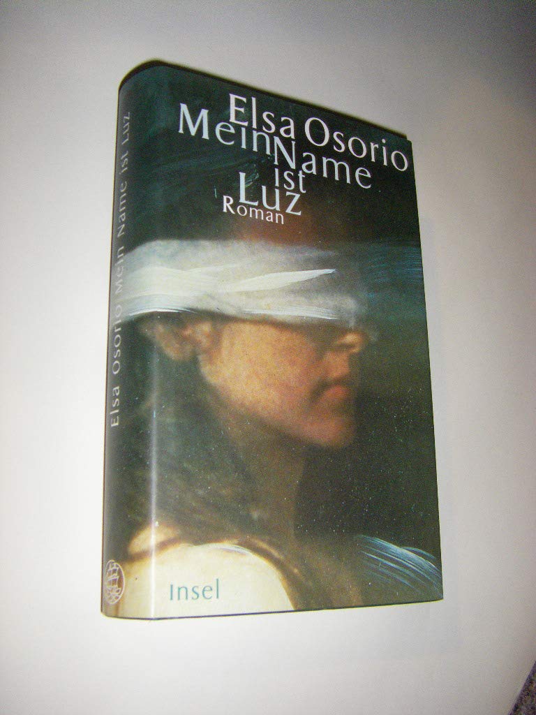 Mein Name ist Luz: Roman Contemporary literature