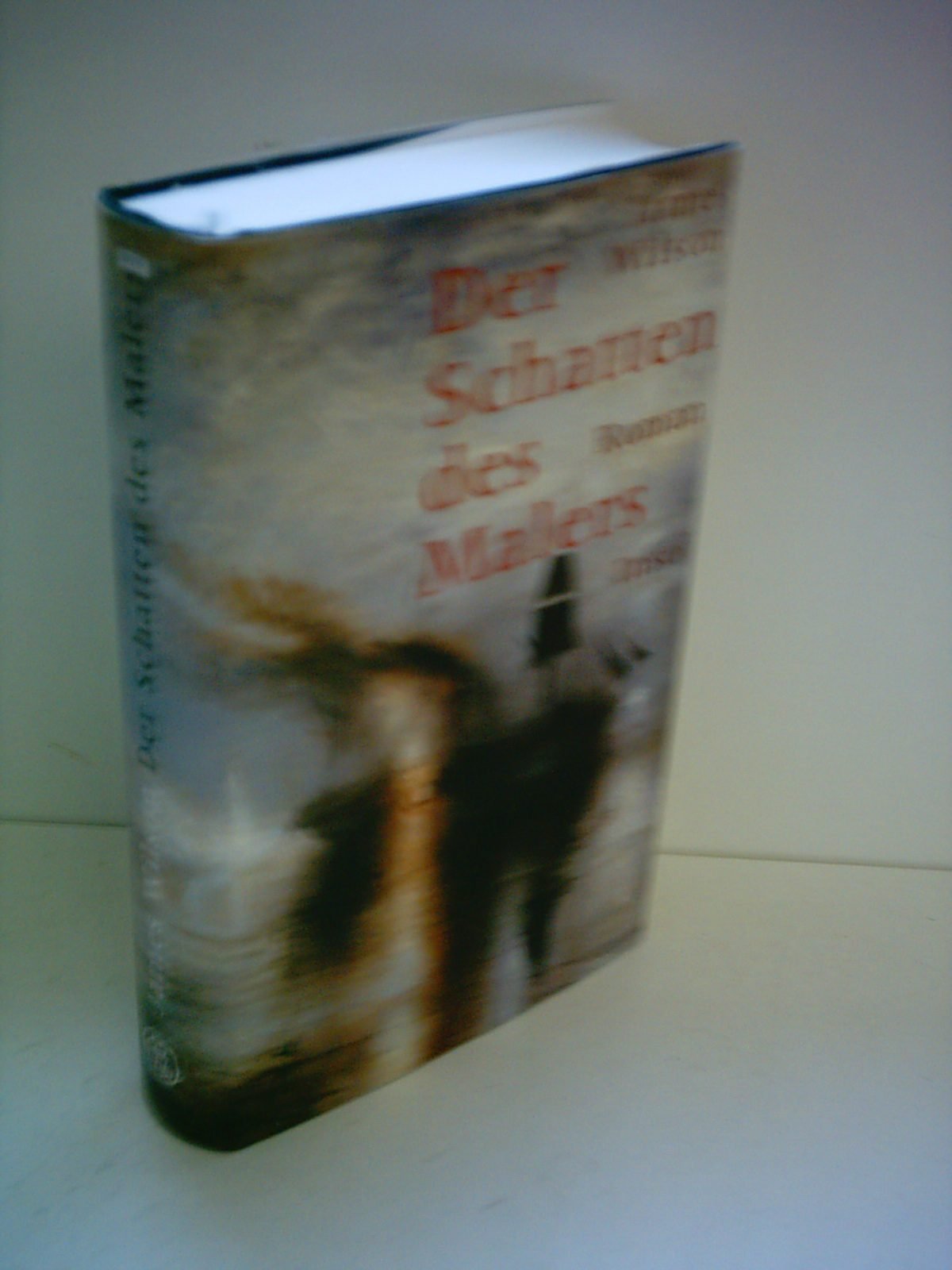 Der Schatten des Malers: Roman Contemporary literature