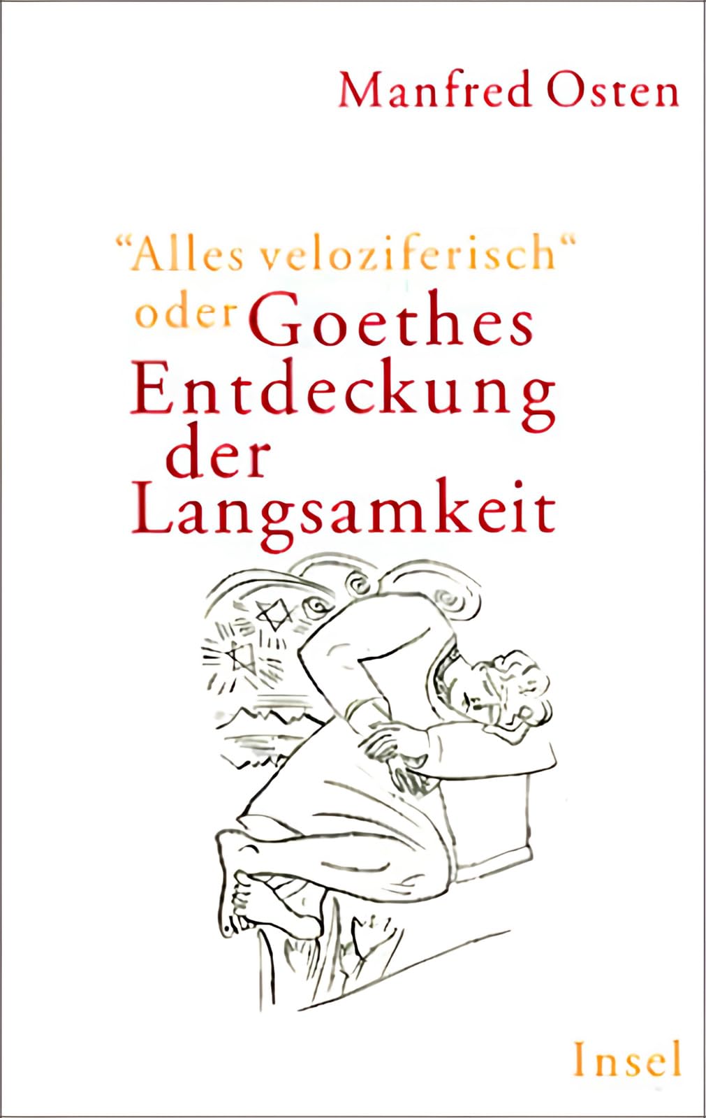 »Alles veloziferisch« oder Goethes Entdeckung der Langsamkeit: Zur Modernität eines Klassikers im 21. Jahrhundert Books