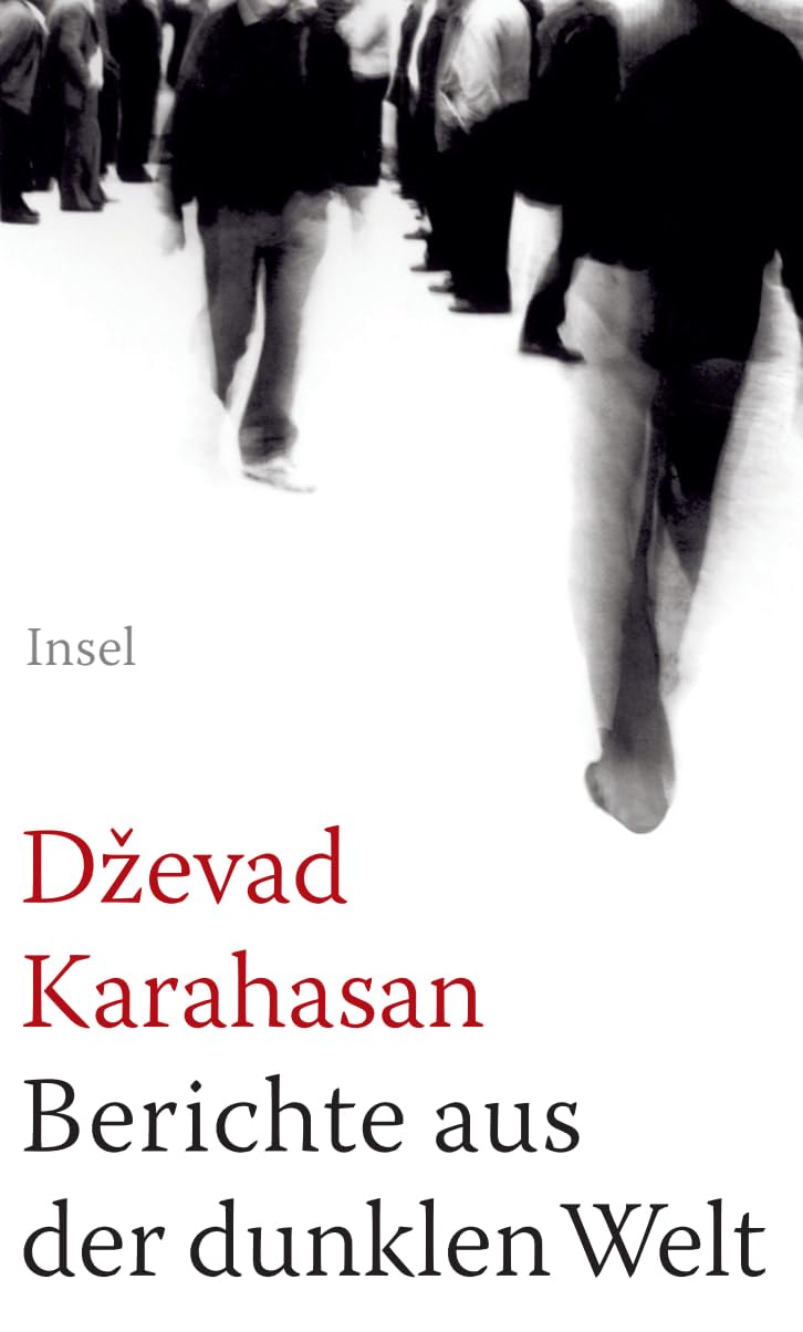 Berichte aus der dunklen Welt: Prosa Essays & Short Stories