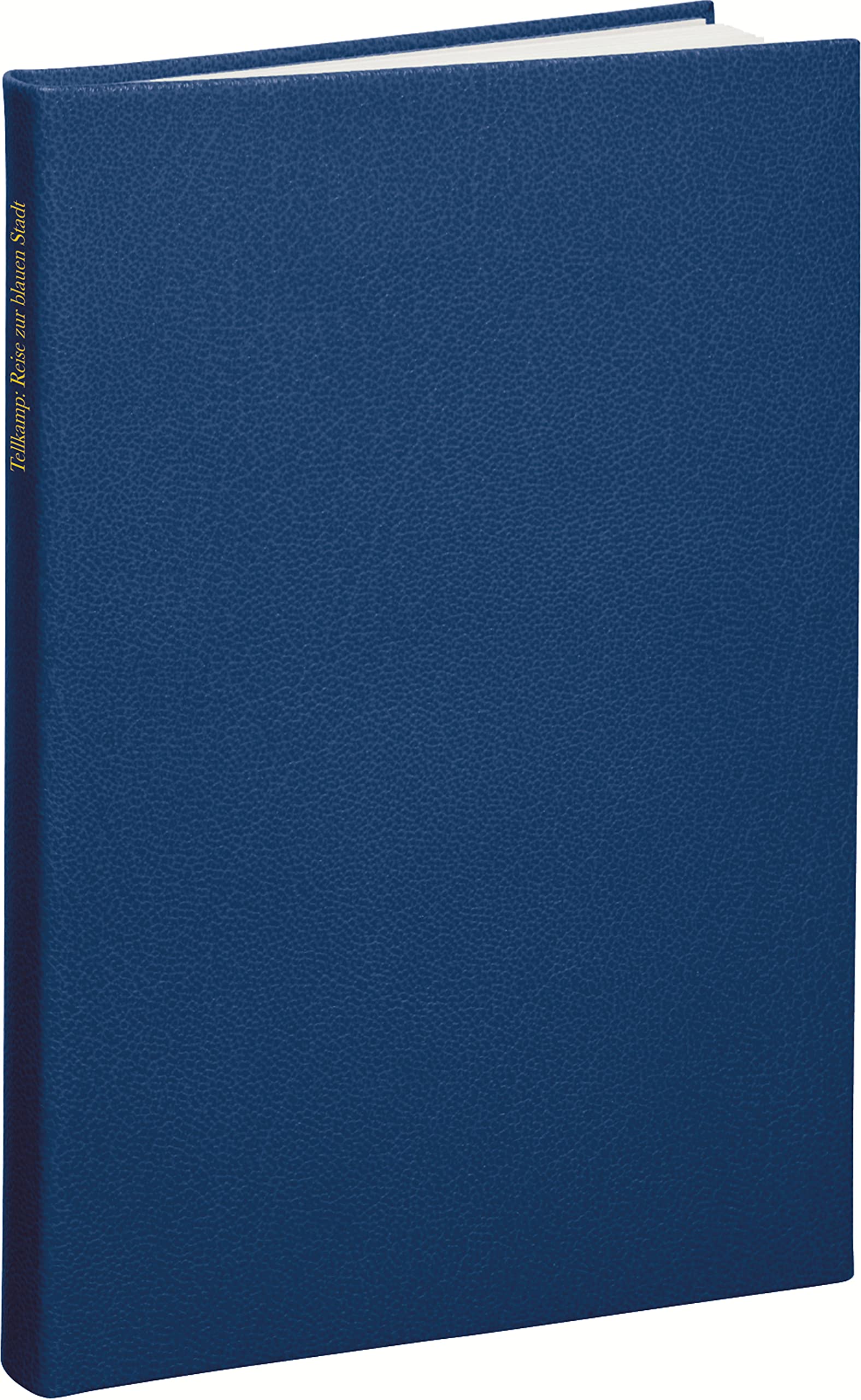 Reise zur blauen Stadt Contemporary literature