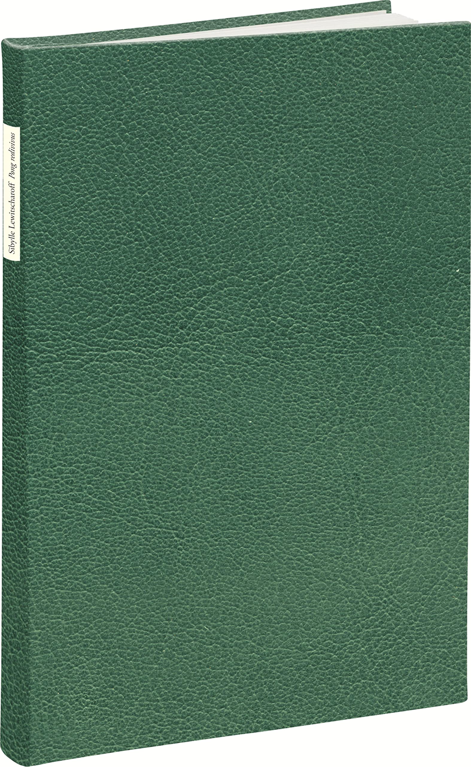 Pong redivivus: Vorzugsausgabe Contemporary literature