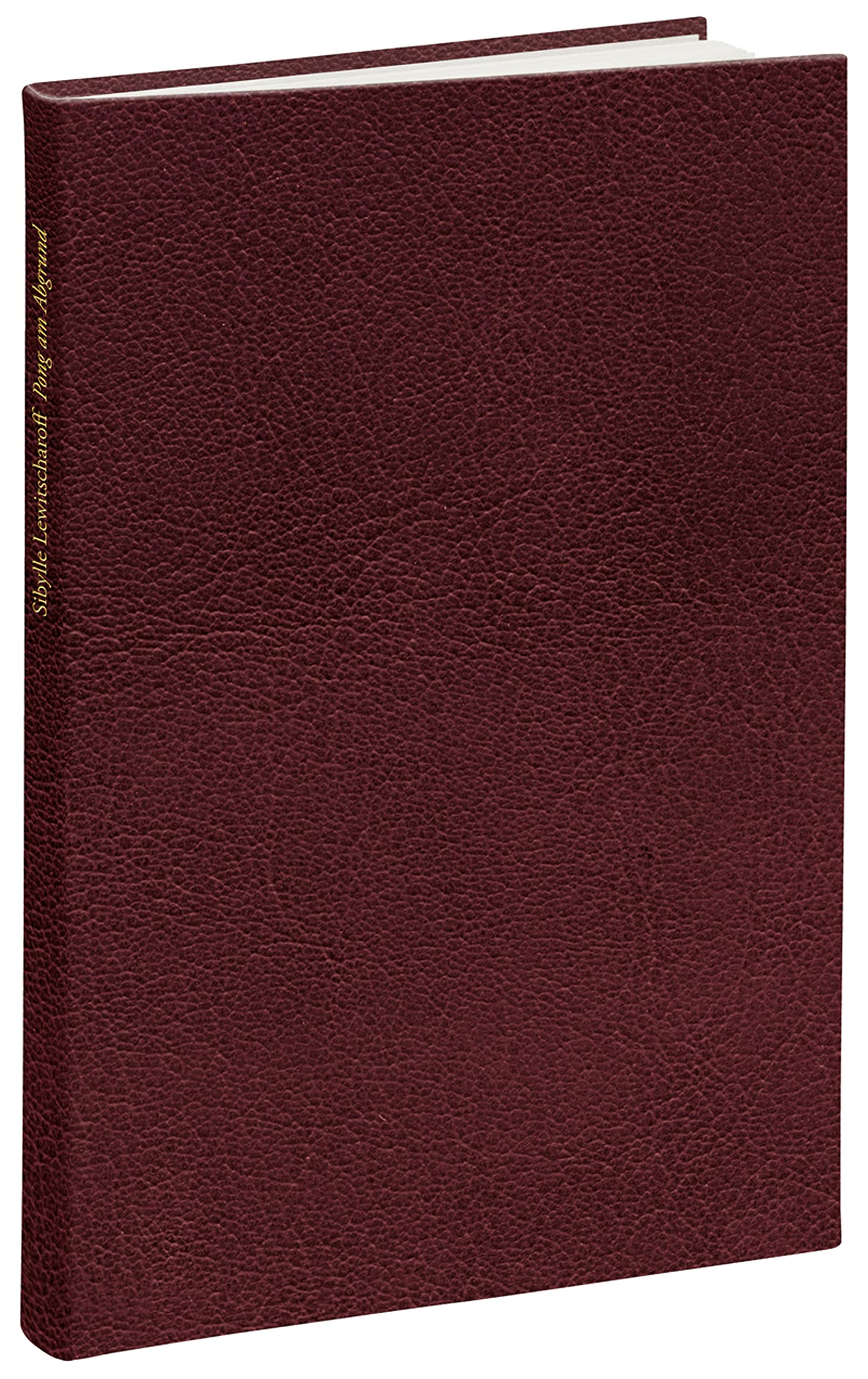 Pong am Abgrund Contemporary literature