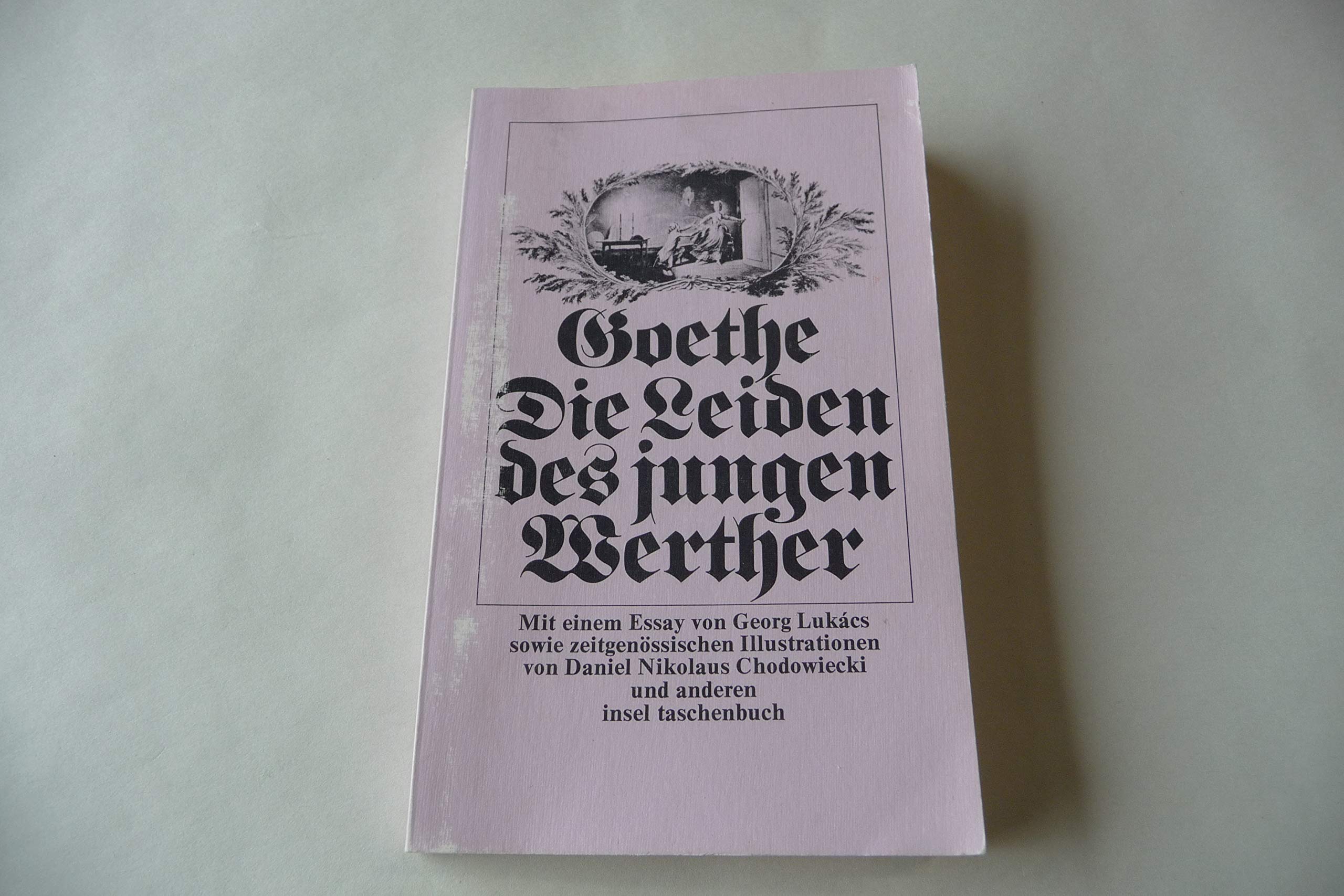Die Leiden des jungen Werther: Mit e. Essay v. Georg Lukacs. Nachw. v. Jörn Göres. (insel taschenbuch) Learning & Reference
