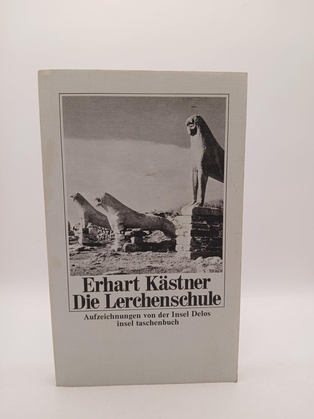 Die Lerchenschule: Aufzeichnungen von der Insel Delos (insel taschenbuch) Memories