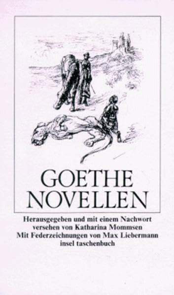 Novellen (insel taschenbuch) Contemporary literature