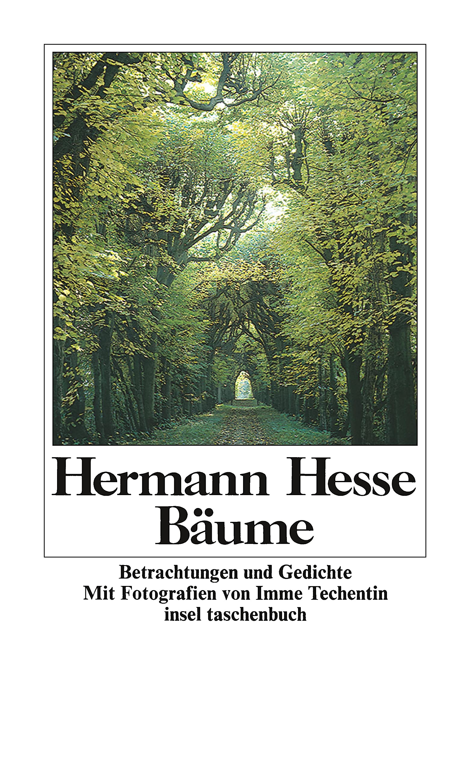 Bäume Contemporary literature Books