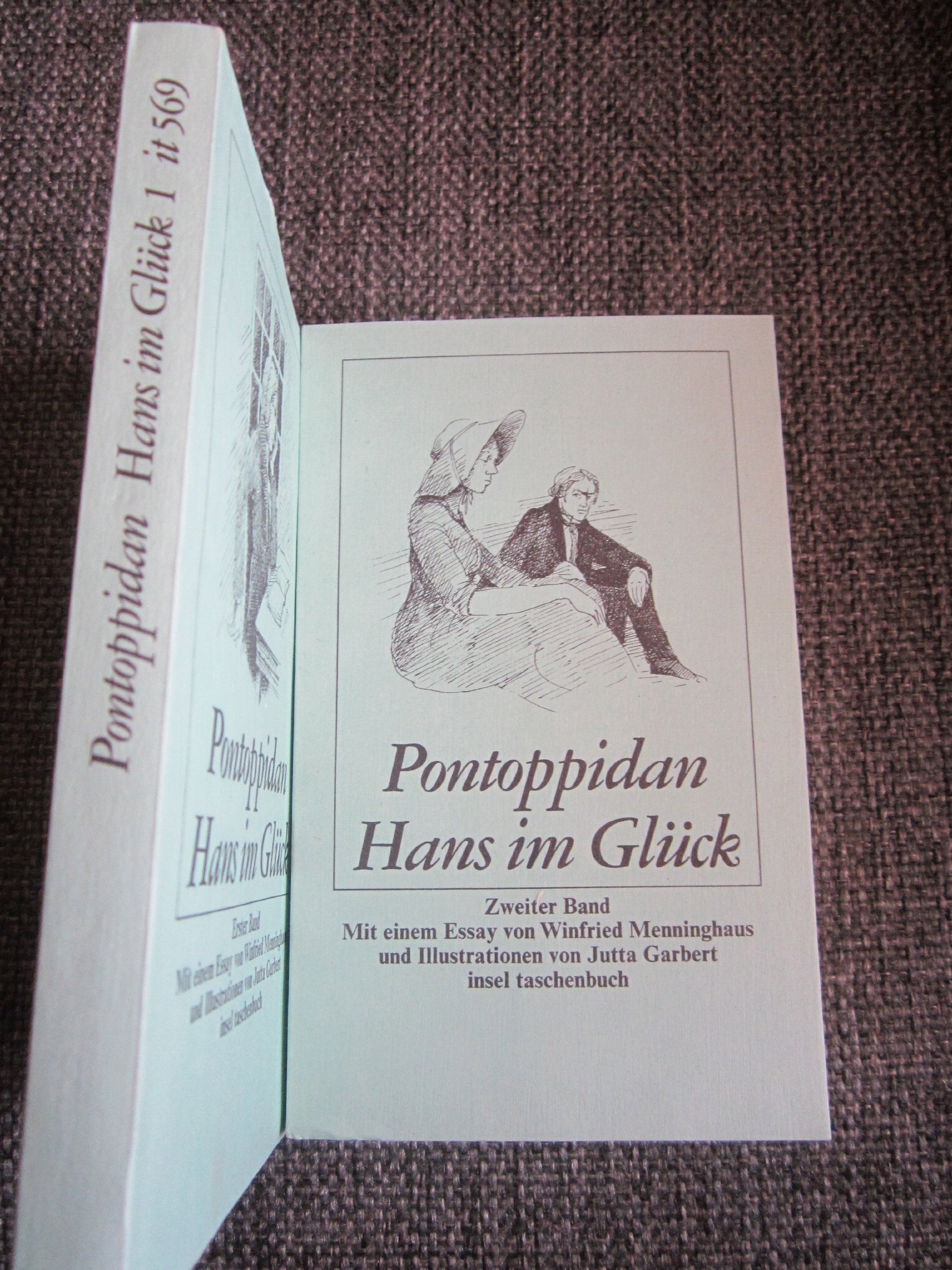 Hans im Glück (Insel-Taschenbücher) Politics & History