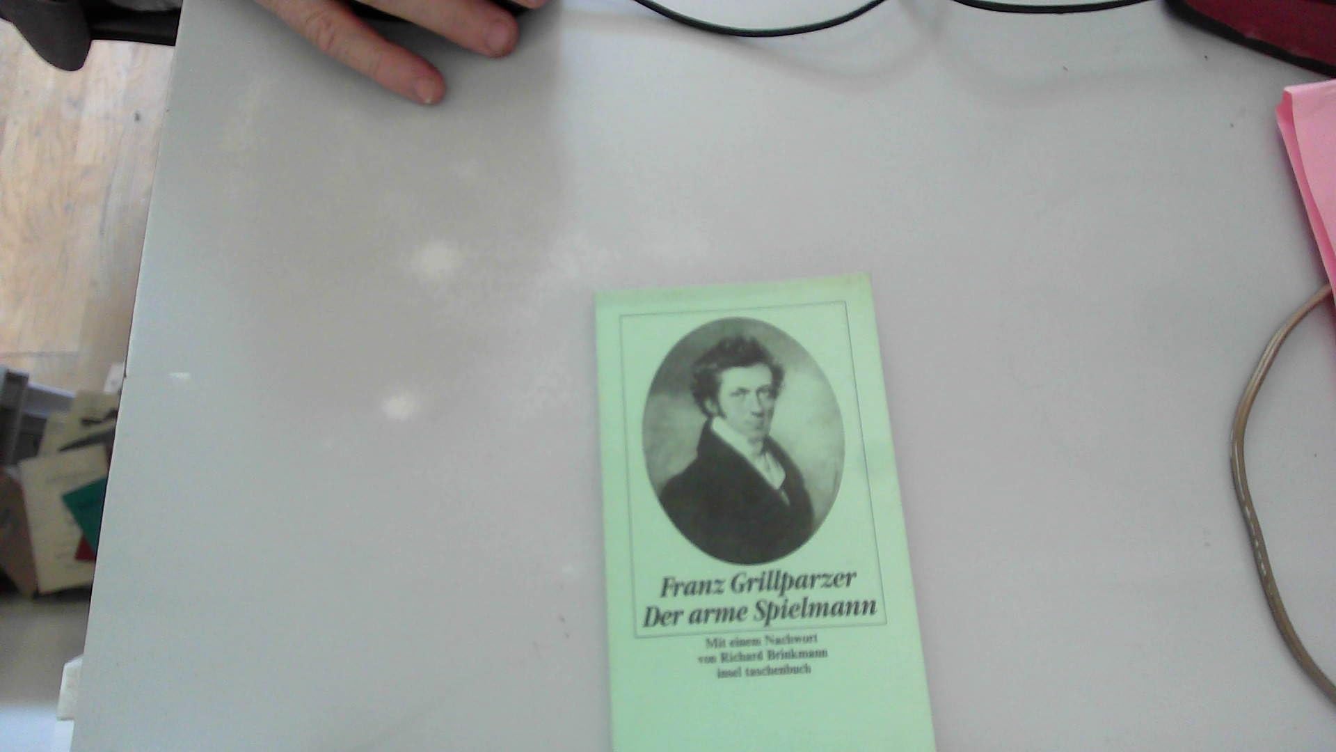 Der arme Spielmann: Mit einem Nachwort von Richard Brinkmann (insel taschenbuch) Classics