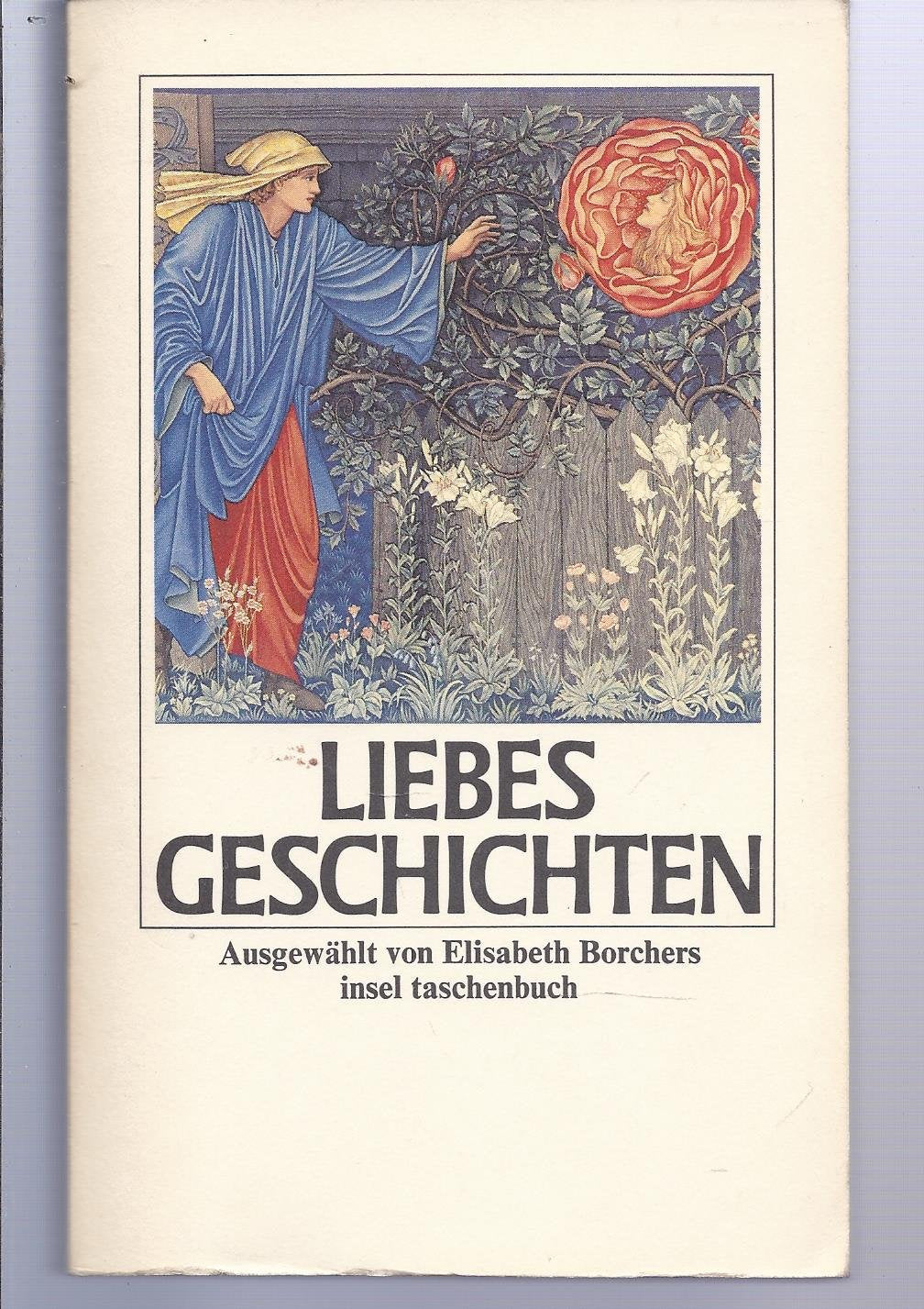 Liebesgeschichten: Ausgewählt von Elisabeth Borchers (insel taschenbuch) Essays & Short Stories