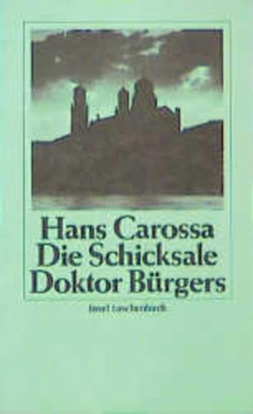 Die Schicksale Doktor Bürgers (insel taschenbuch) Leisure, Home & Garden
