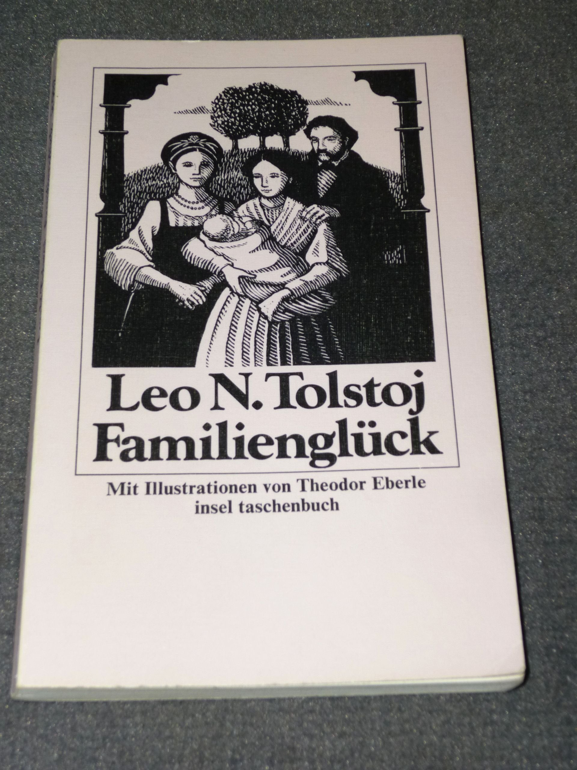 Familienglück (insel taschenbuch) Classics
