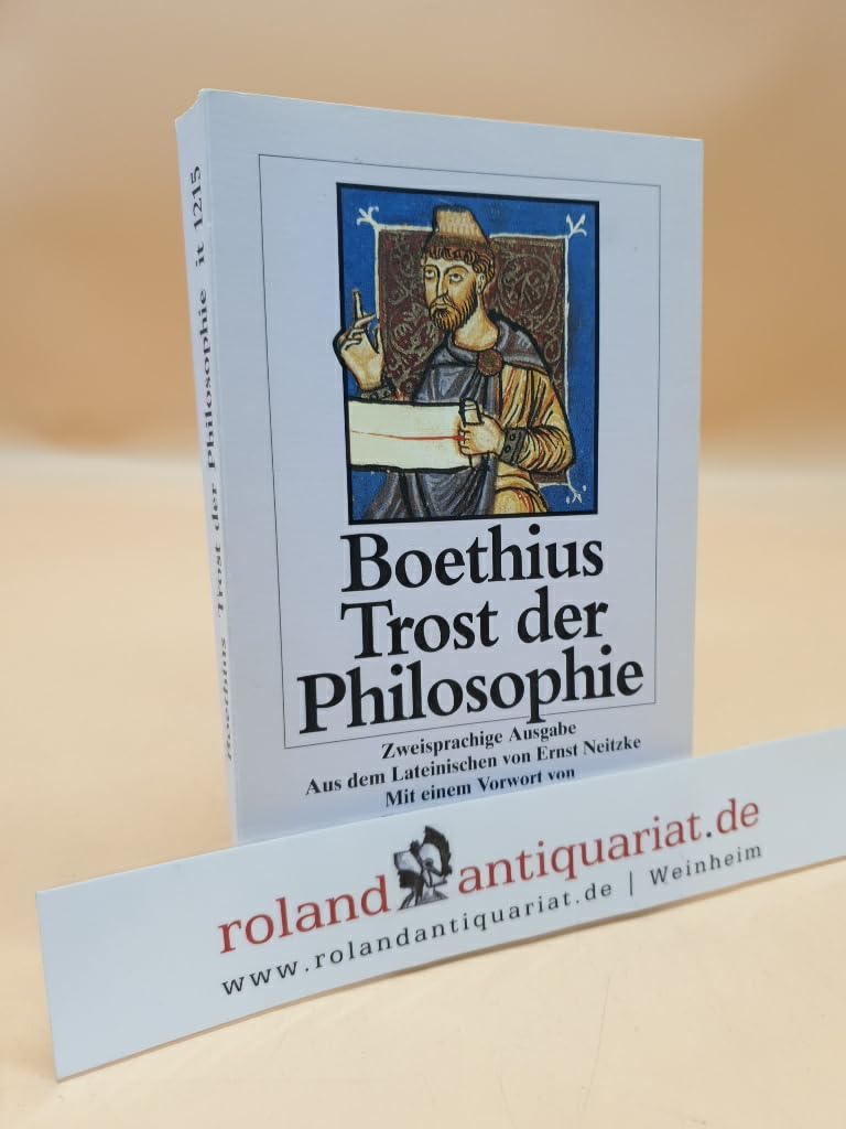 Trost der Philosophie (insel taschenbuch) Philosophy