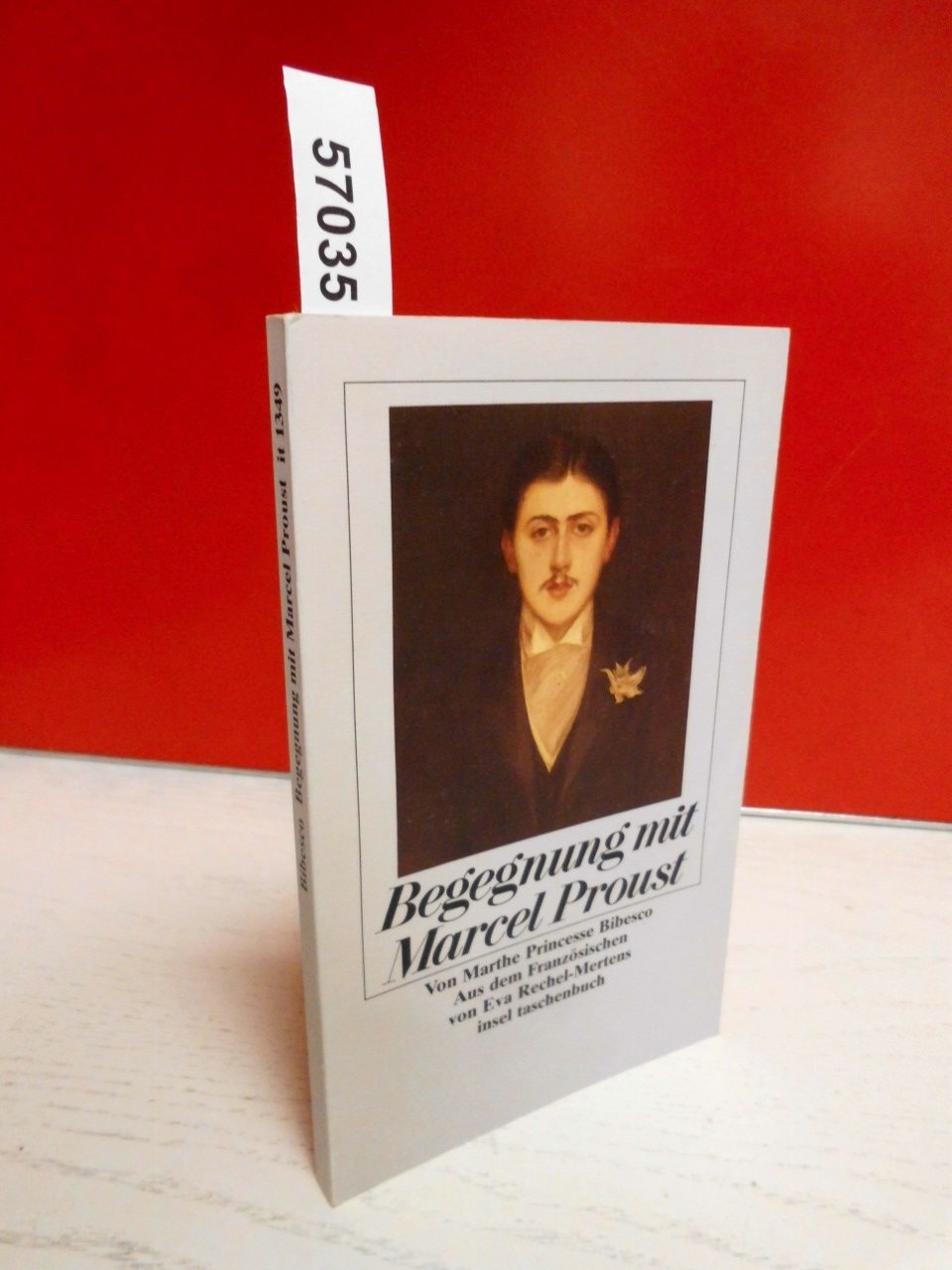Begegnung mit Marcel Proust (insel taschenbuch) Poetry