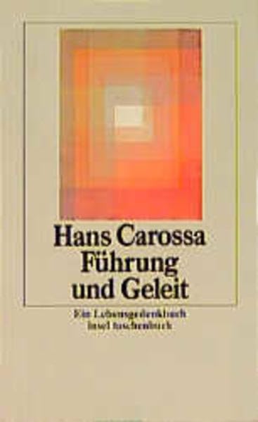 Werke in Einzelausgaben. Zwölf Bände in Kassette: 5: Führung und Geleit (insel taschenbuch) Politics & Society