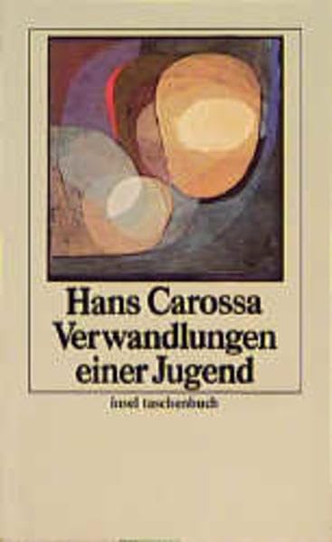 Werke in Einzelausgaben. Zwölf Bände in Kassette: 8: Verwandlungen einer Jugend (insel taschenbuch) Books