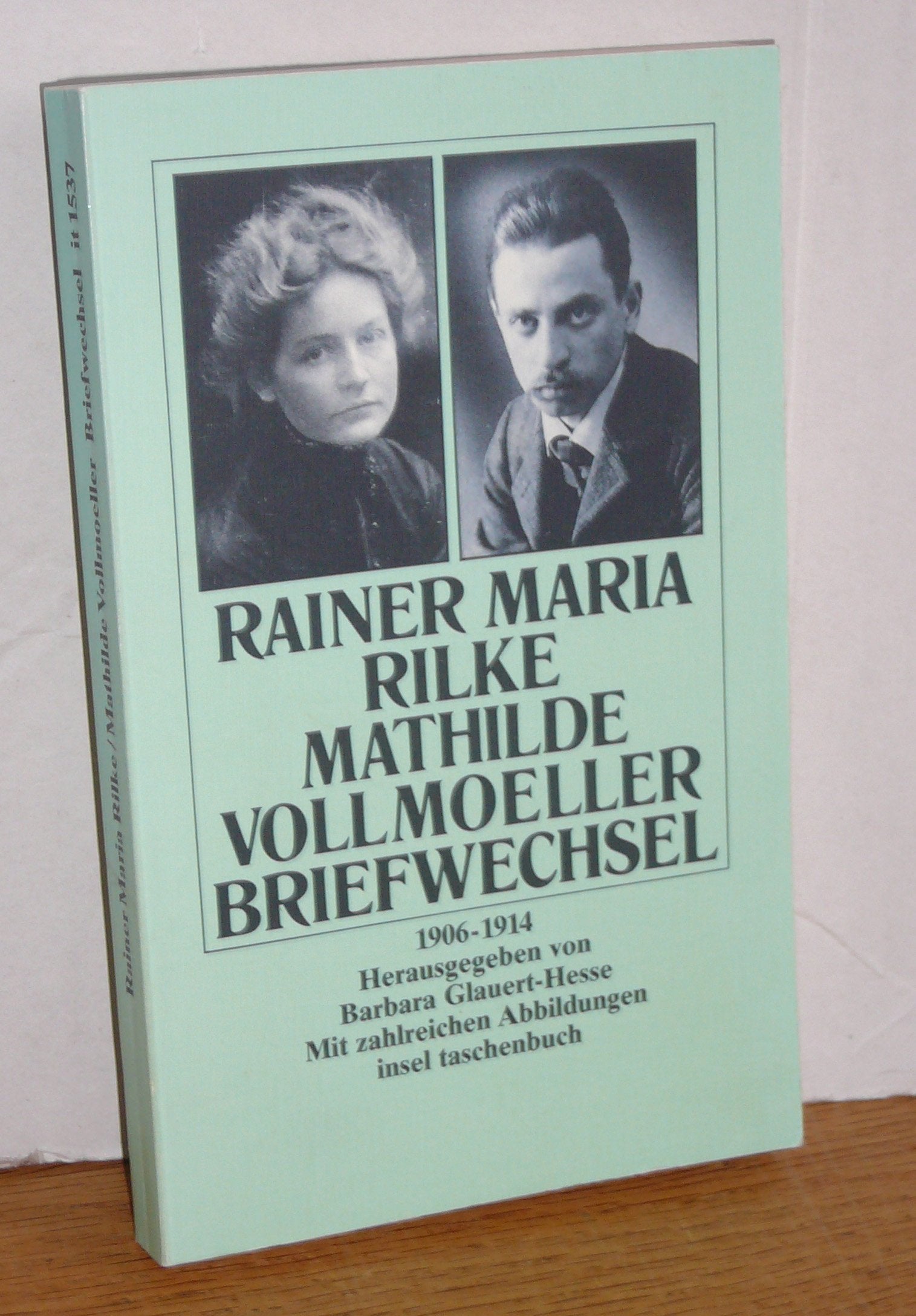 Briefwechsel: 1906-1914. Herausgegeben von Barbara Glauert-Hesse. Mit zahlreichen Abbildungen (insel taschenbuch) Essays & Short Stories