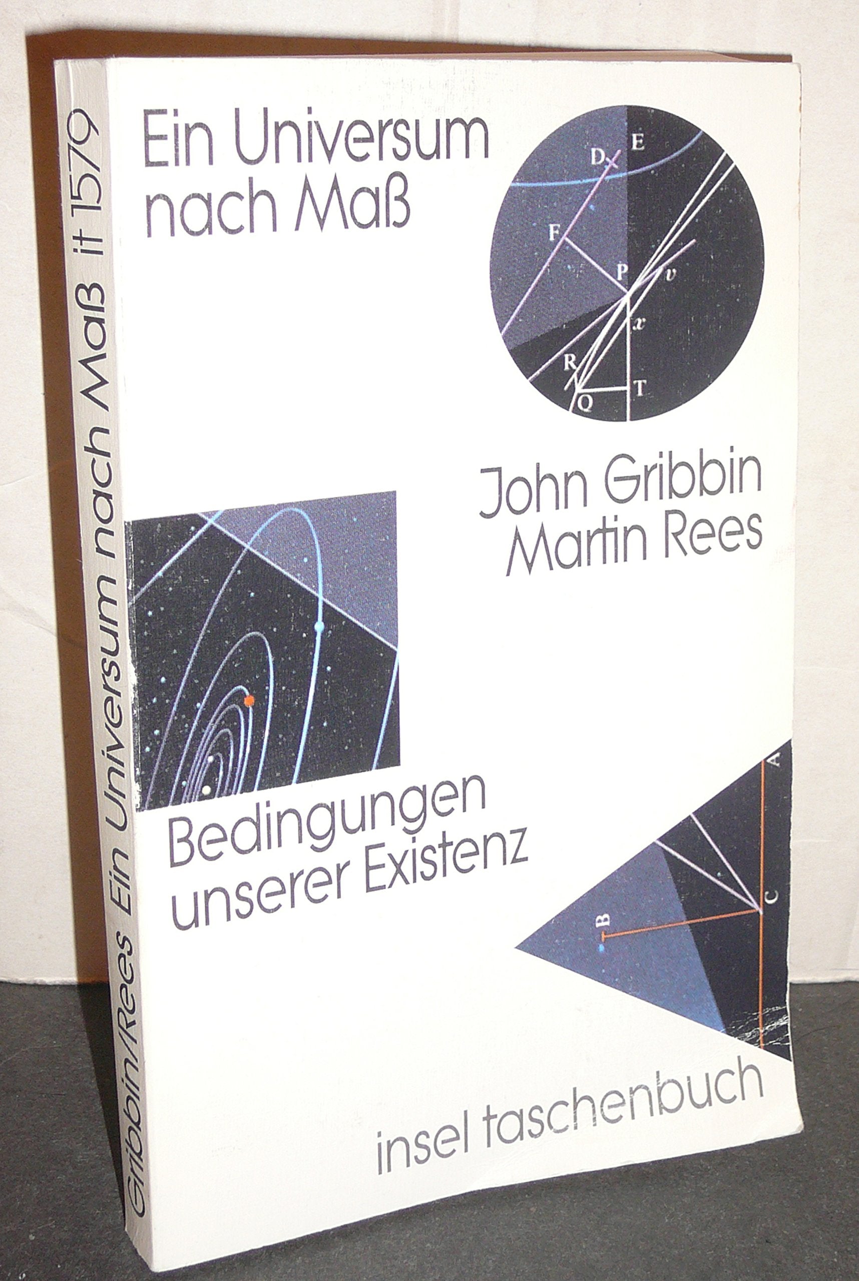 Ein Universum nach Maß: Bedingungen unserer Existenz (insel taschenbuch) Natural Sciences