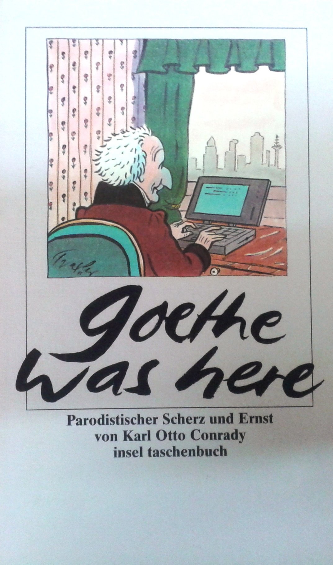 Goethe was here: In den Rhein- und Main-Gegenden und der Schweiz. Parodistischer Scherz und Ernst (insel taschenbuch) Books