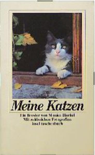Meine Katzen: Ein Brevier (insel taschenbuch) Contemporary literature