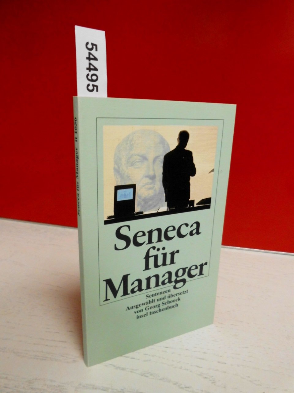 Seneca für Manager: Sentenzen (insel taschenbuch) Philosophy