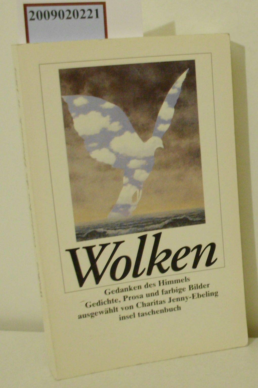 Wolken. Gedanken des Himmels: Gedichte, Prosa und farbige Bilder (insel taschenbuch) Poetry