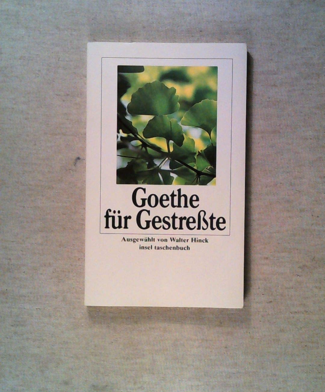 Goethe für Gestreßte (insel taschenbuch) Classics