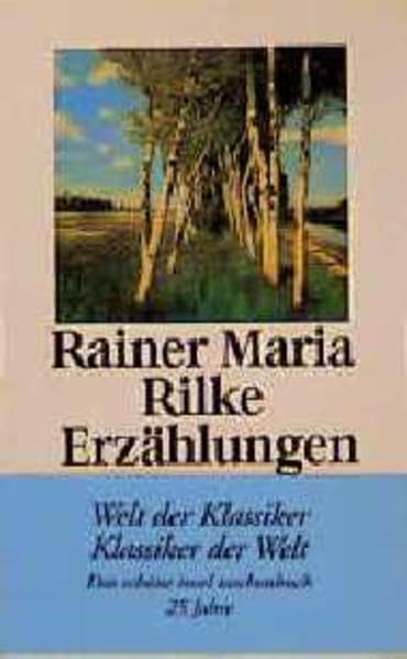 Die Erzählungen (insel taschenbuch) Essays & Short Stories