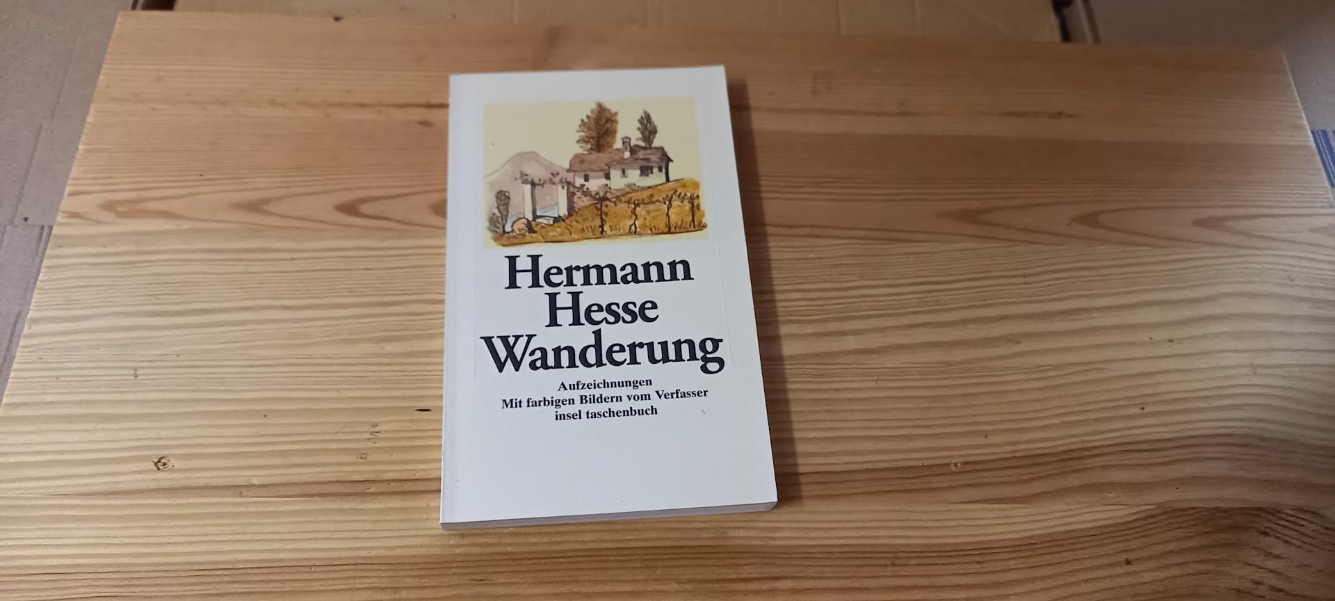 Wanderung: Aufzeichnungen mit farbigen Bildern vom Verfasser (insel taschenbuch) Contemporary literature