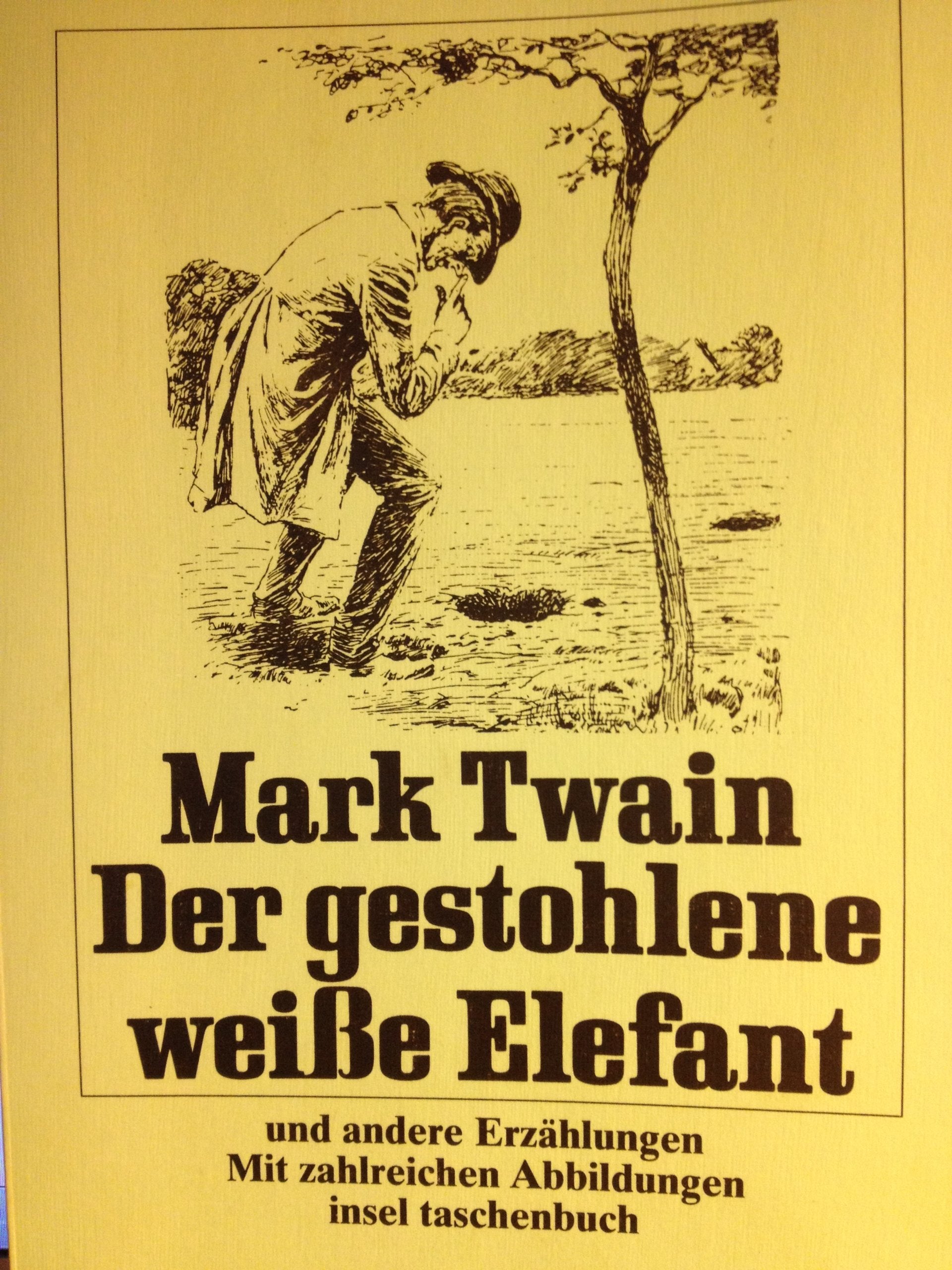 Der gestohlene weiße Elefant und andere Erzählungen Fiction