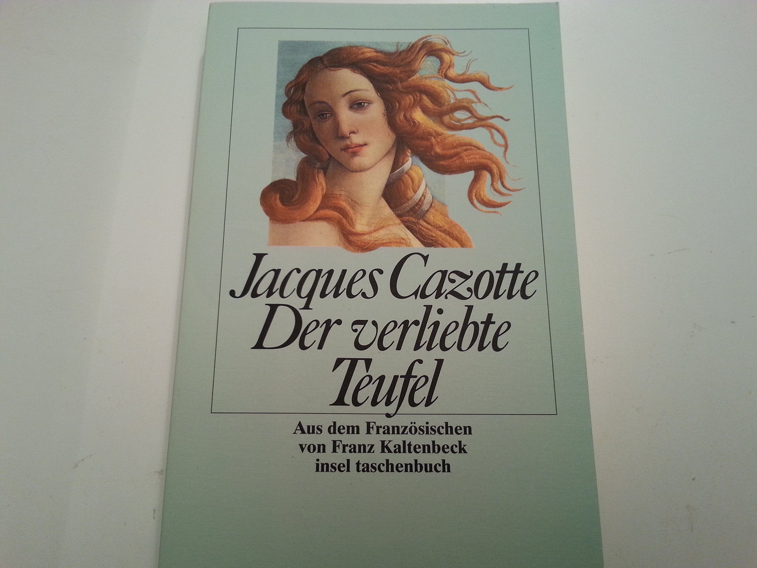 Der verliebte Teufel (Insel-Taschenbücher) Contemporary literature