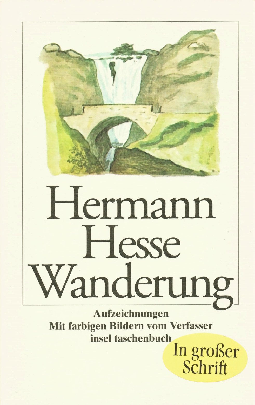 Wanderung: Aufzeichnungen (insel taschenbuch) Contemporary literature