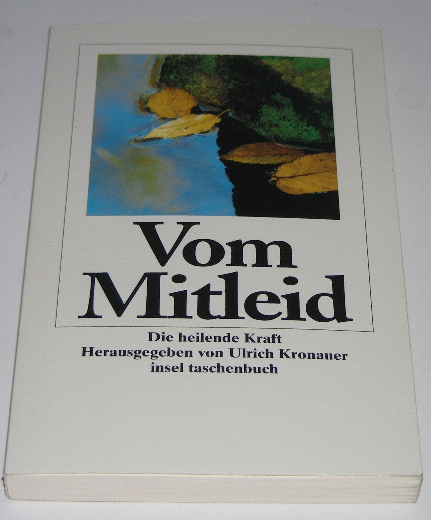 Vom Mitleid Philosophy