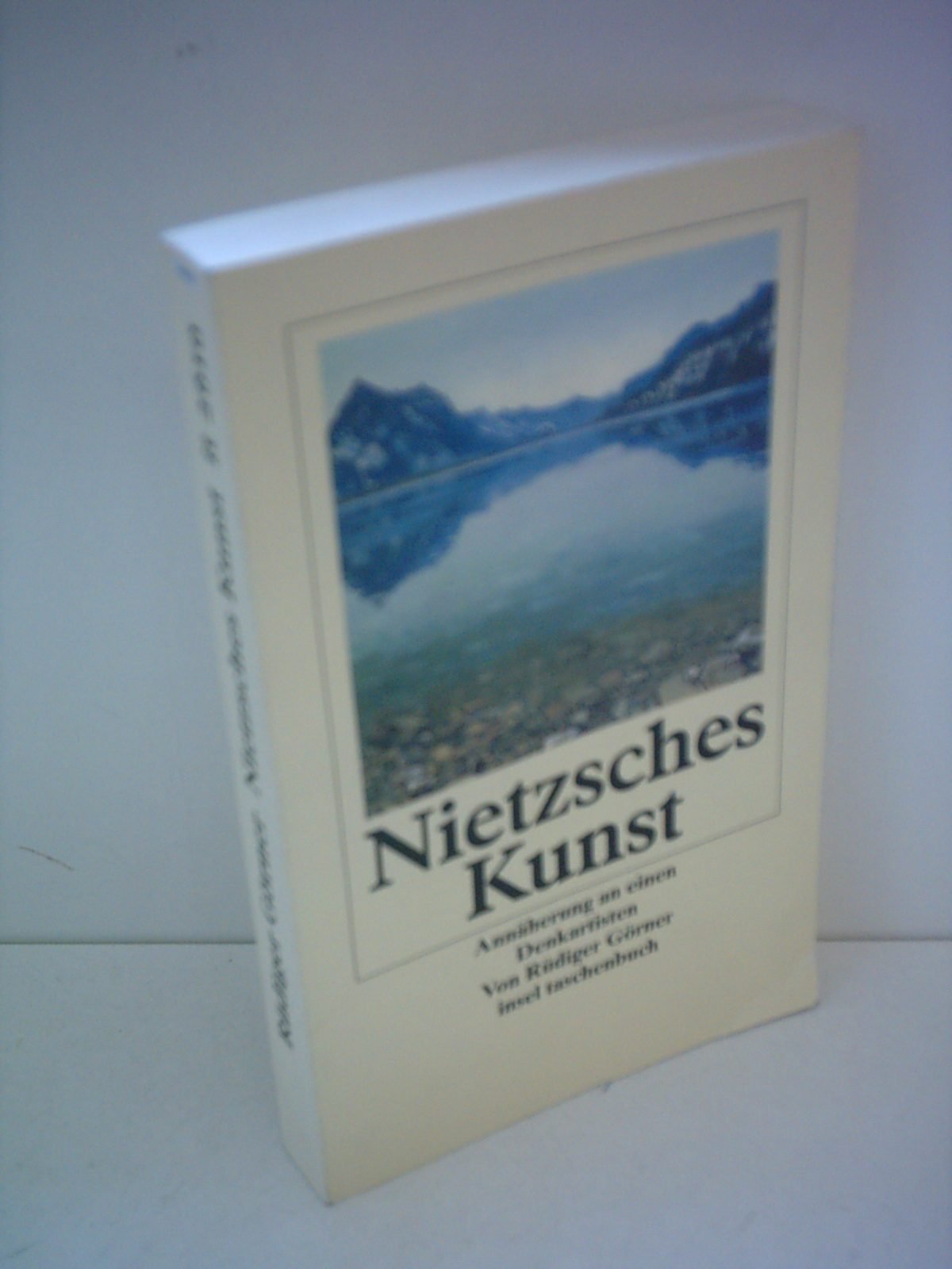 Nietzsches Kunst: Annäherung an einen Denkartisten Philosophy