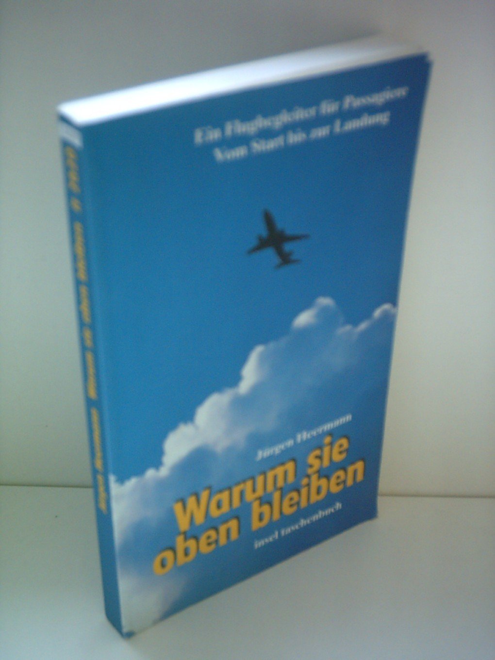 Warum sie oben bleiben: Ein Flugbegleiter für Passagiere. Vom Start bis zur Landung (insel taschenbuch) Business & Technology