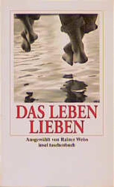 Das Leben lieben (insel taschenbuch) Contemporary literature