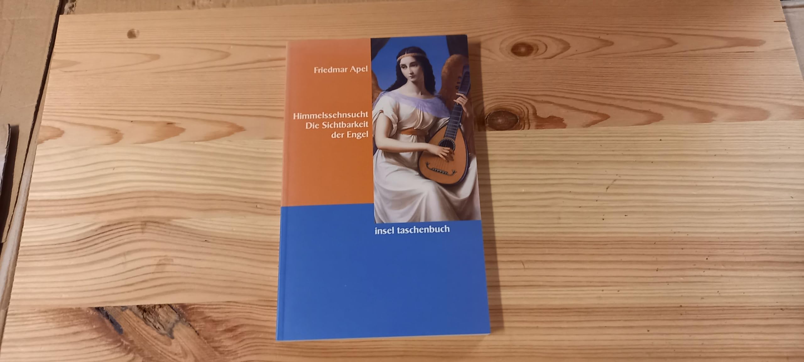 Himmelssehnsucht: Die Sichtbarkeit der Engel (insel taschenbuch) Contemporary literature