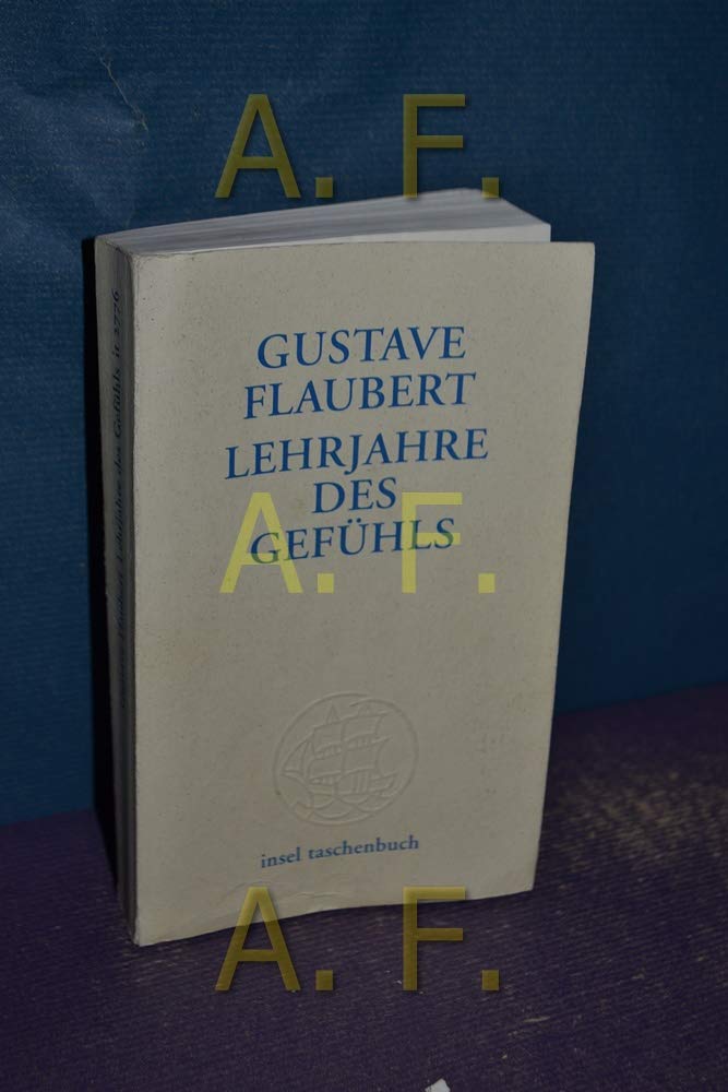 Lehrjahre des Gefühls: Geschichte eines jungen Mannes. Roman (insel taschenbuch) Classics