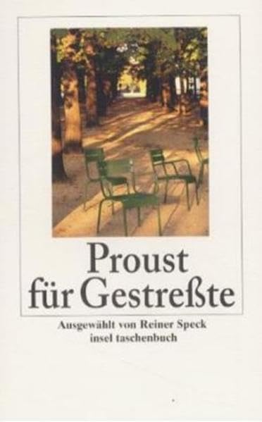 Proust für Gestreßte (insel taschenbuch) Contemporary literature