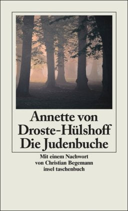 Die Judenbuche: Ein Sittengemälde aus dem gebirgichten Westfalen: Ein Sittengemälde aus dem gebirgichten Westphalen. Mit d. 'Geschichte eines ... v. Christian Begemann (insel taschenbuch) Classics