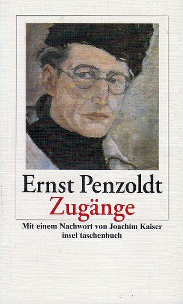 Zugänge: Erzählung (insel taschenbuch) Classics