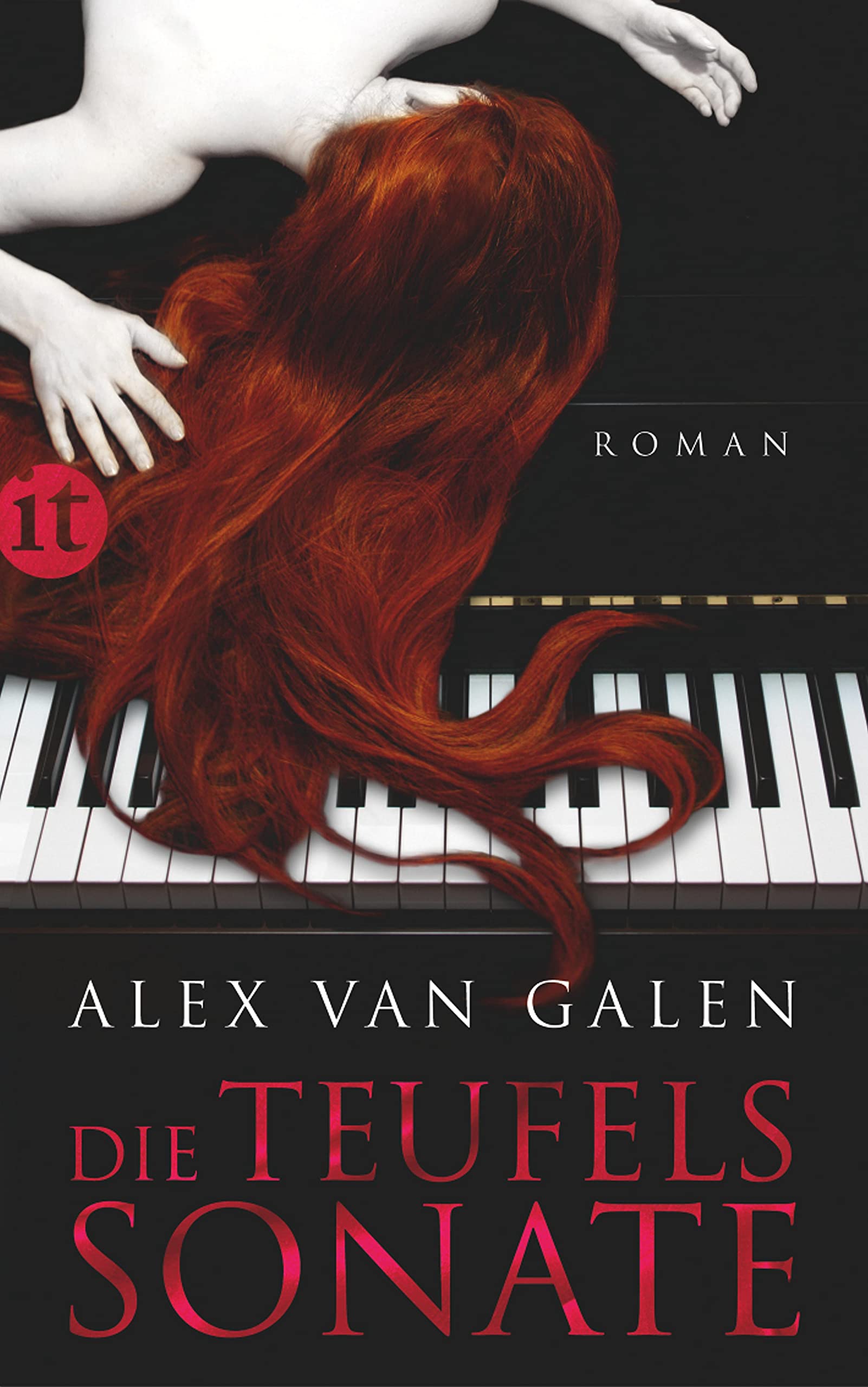 Die Teufelssonate: Roman (insel taschenbuch) Contemporary literature