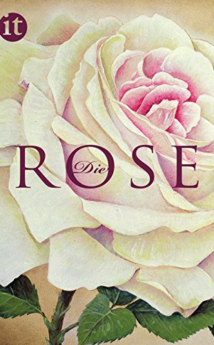 Product Image: Die Rose